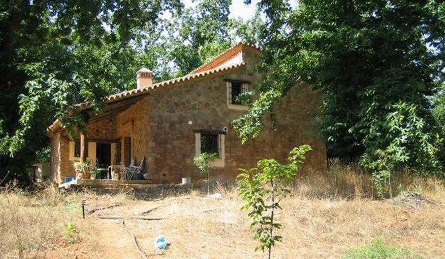 Las Cañadas del Agua