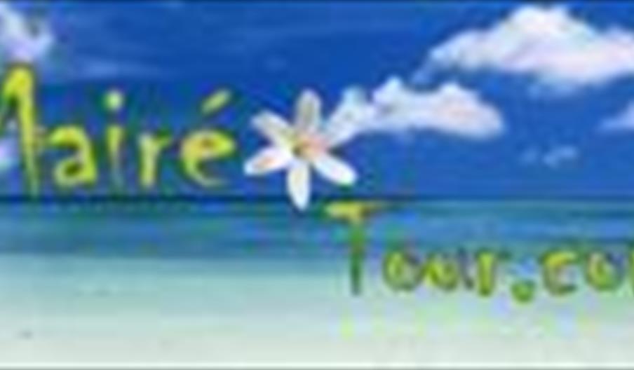 Maire Tour Fuengirola