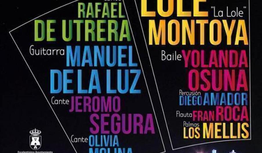 Festival Flamenco "Noches al fresco"