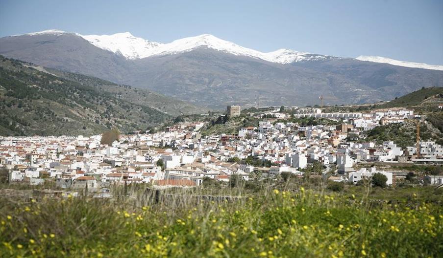 Vélez de Benaudalla