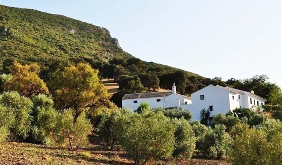 Cuatricicletas Rodando en Grupo