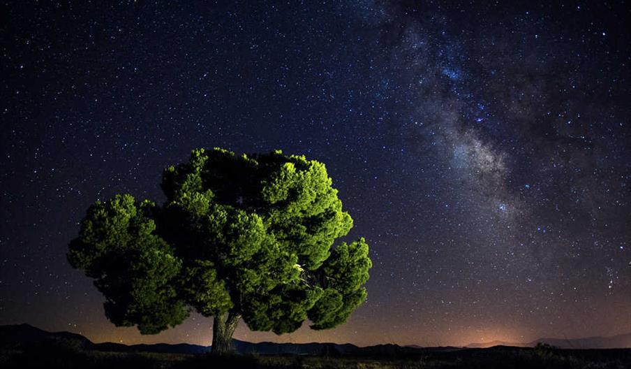 observación astronómica