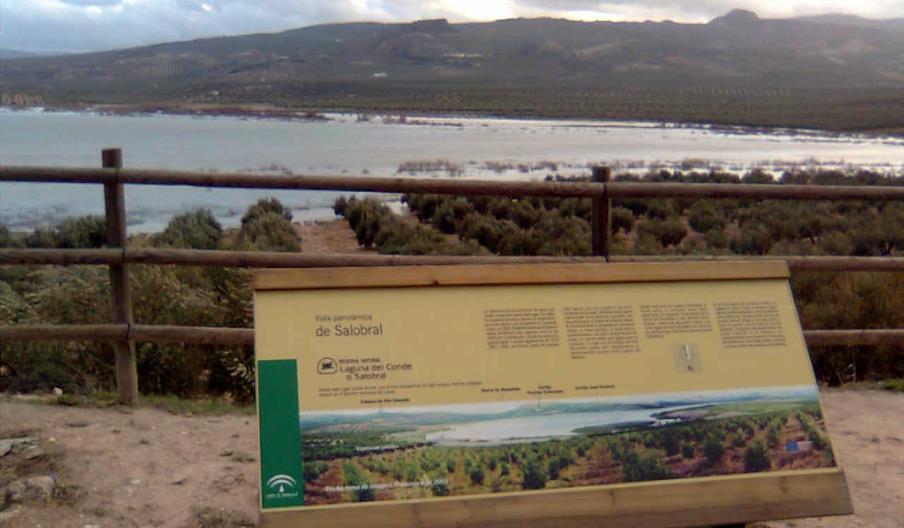 Laguna del Conde o Salobral