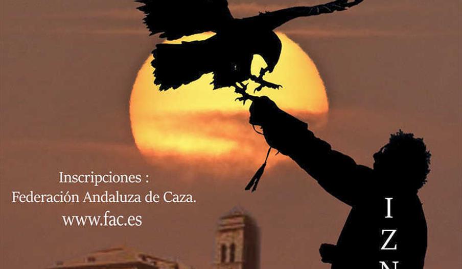 Campeonato de Cetrería