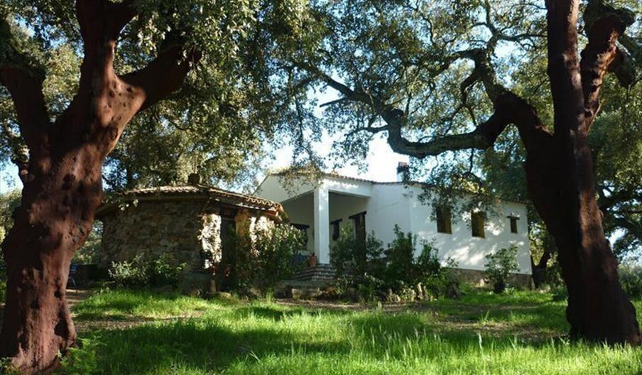 Vivienda Rural Finca El Chaparral