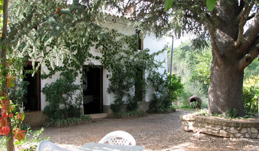 Vivienda Rural Casa del Cedro