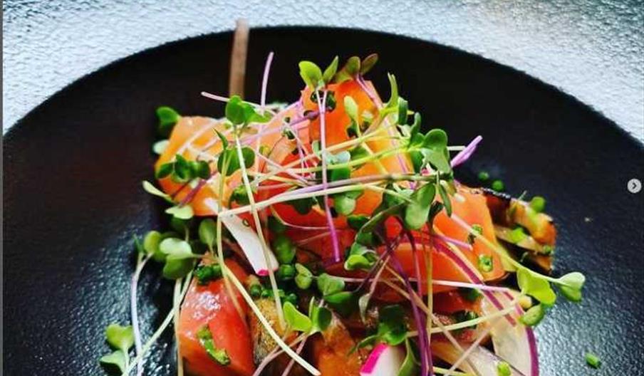 Microvegetales eventos privados