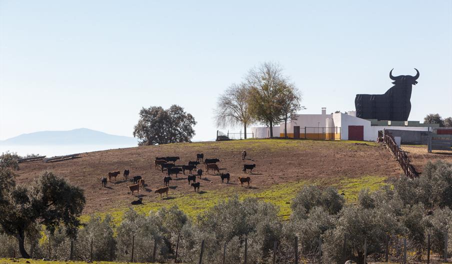 Toro de Osborne - Santa Elena