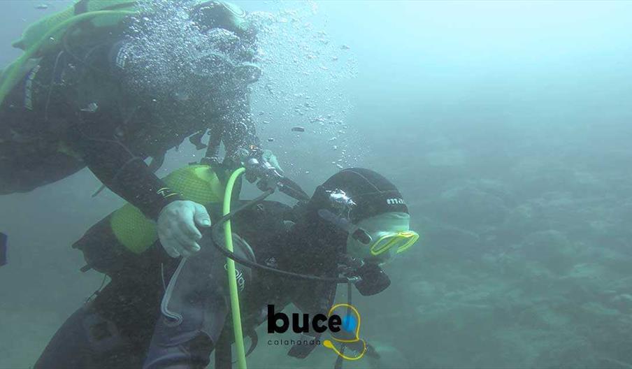 Escuela de Buceo Calahonda web