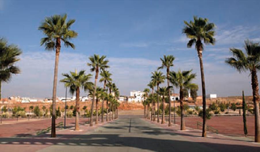 Parque Multiusos El Pisar