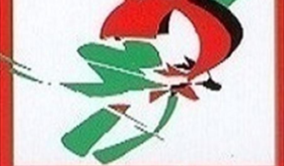 Escuela Granadina SKI3 Cenes de la Vega