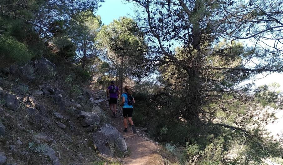 Málaga Tour Running