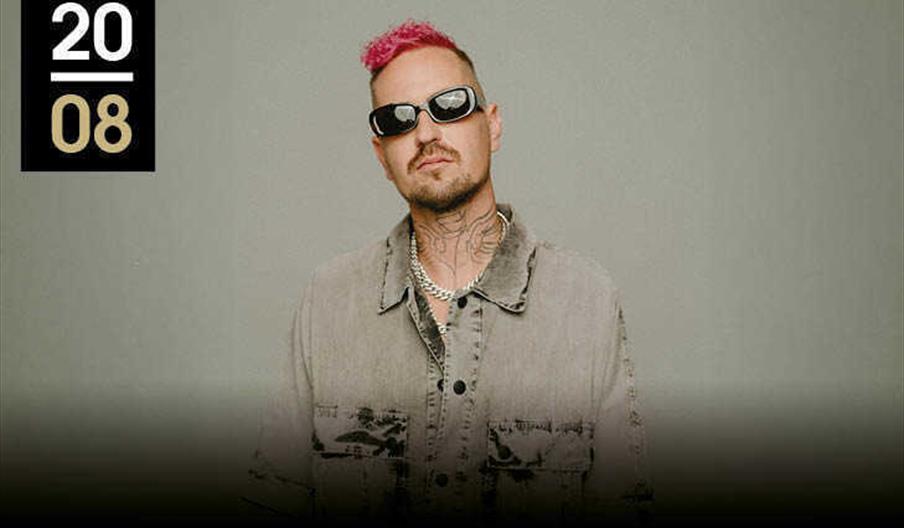 Concierto de Robin Schulz - Starlite Occident