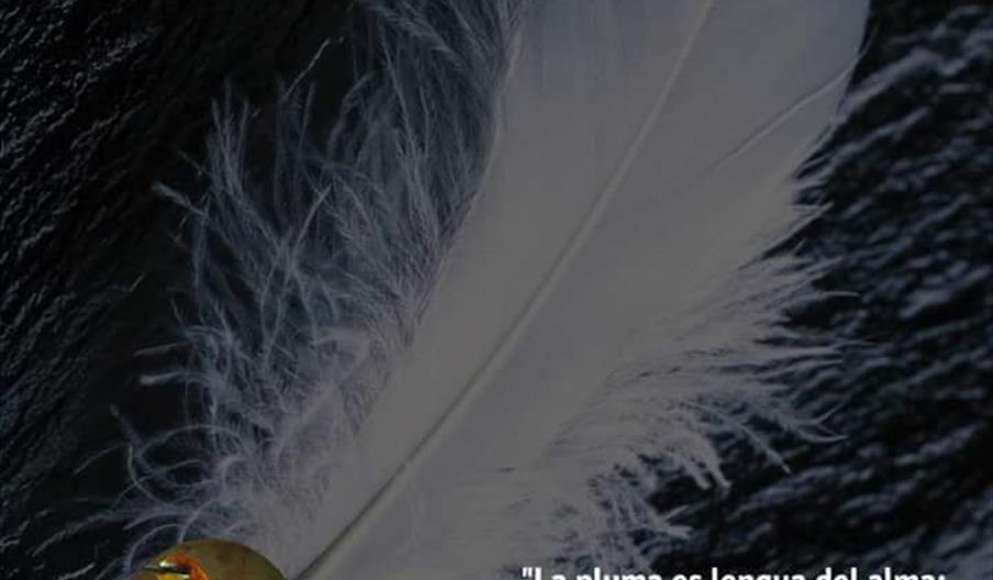 Festival Alma de Almócita