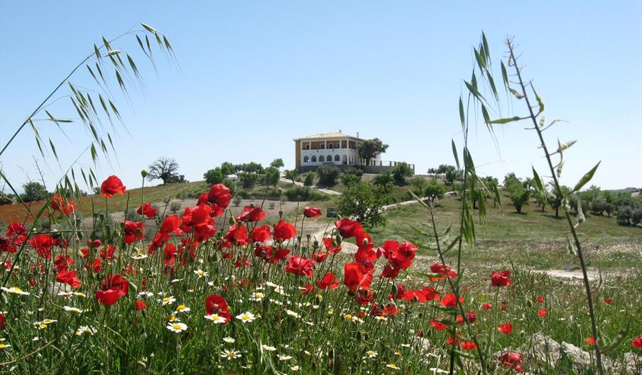 Casa Rural El Geco Verde