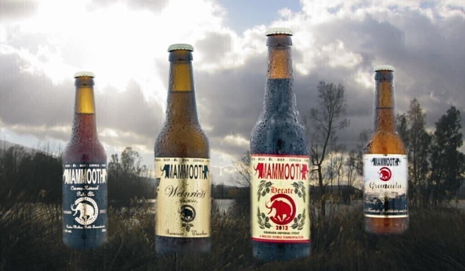 Cervezas Mammooth