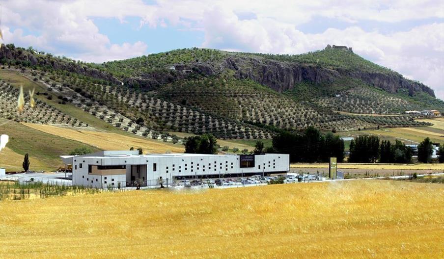 Almazara Campo Pineda