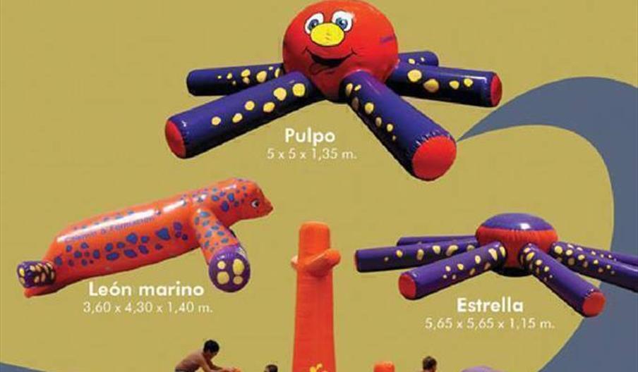 Celemín & Formación