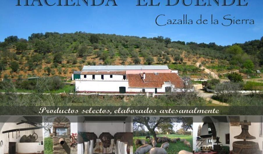 Bodega Hacienda El Duende