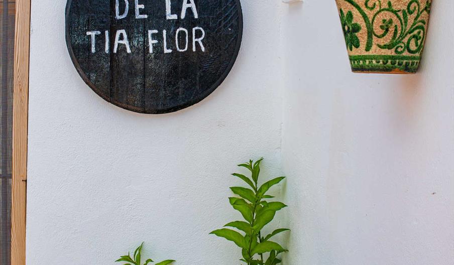 Cueva de la Tía Flor