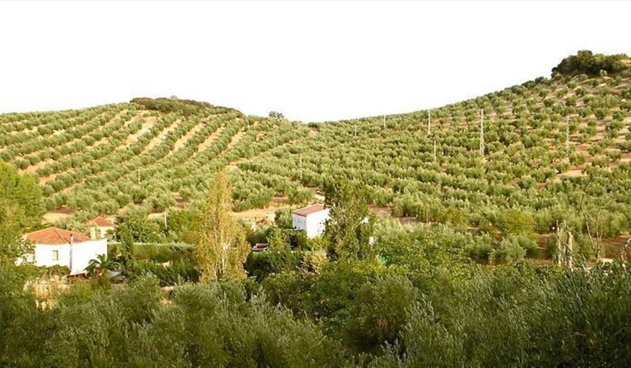 Vivienda Rural La Capellanía