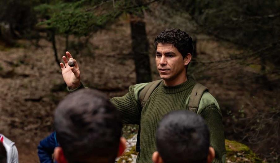 Actividades en Sierra de las Nieves web