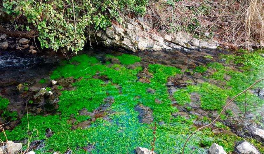 RUTA CAÑONES IMPOSIBLES