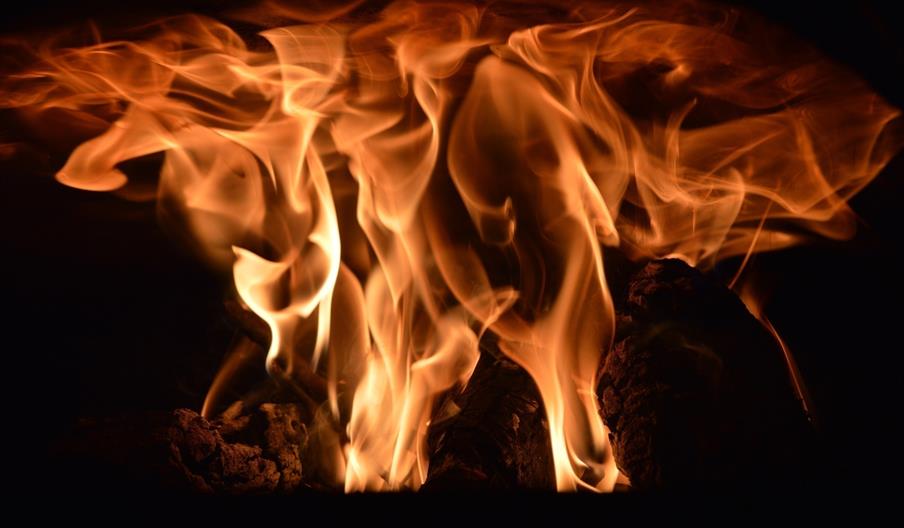 La Cocina del Zarcillos