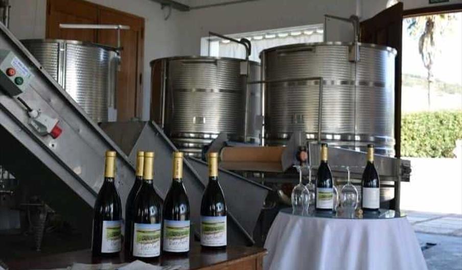 Bodega Guardi Wines
