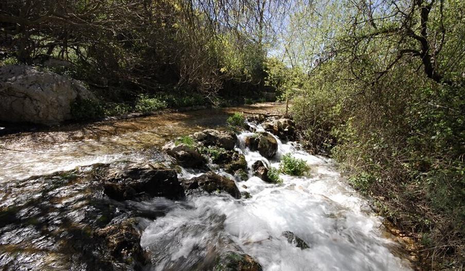 Nacimiento de El Chorro