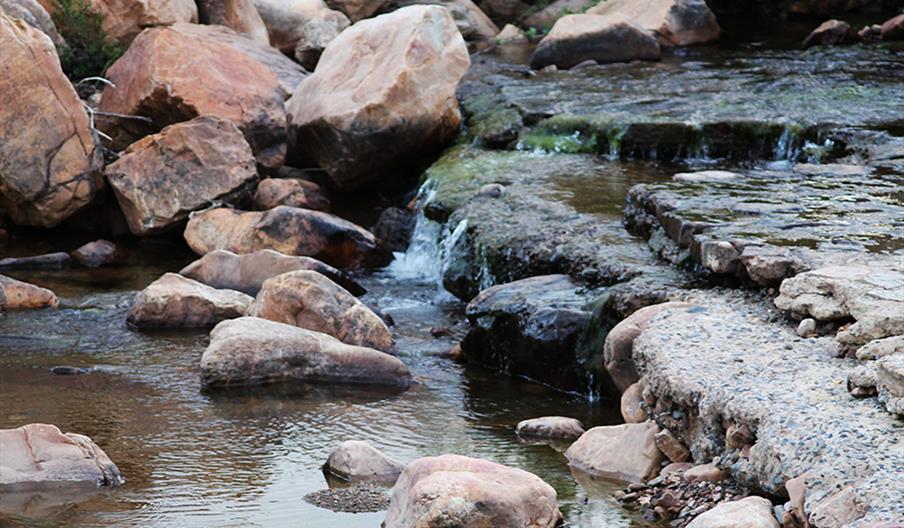 Ecoturismo Sierra y Mina