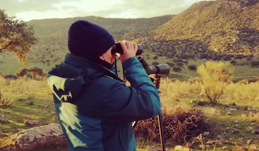 Observación fauna salvaje Jaén