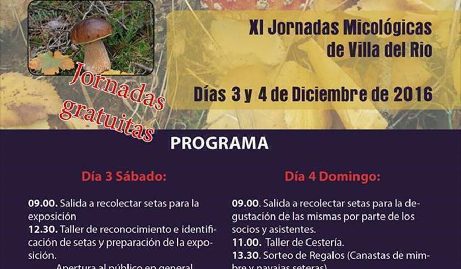 Jornadas Micológicas en Villa del Río