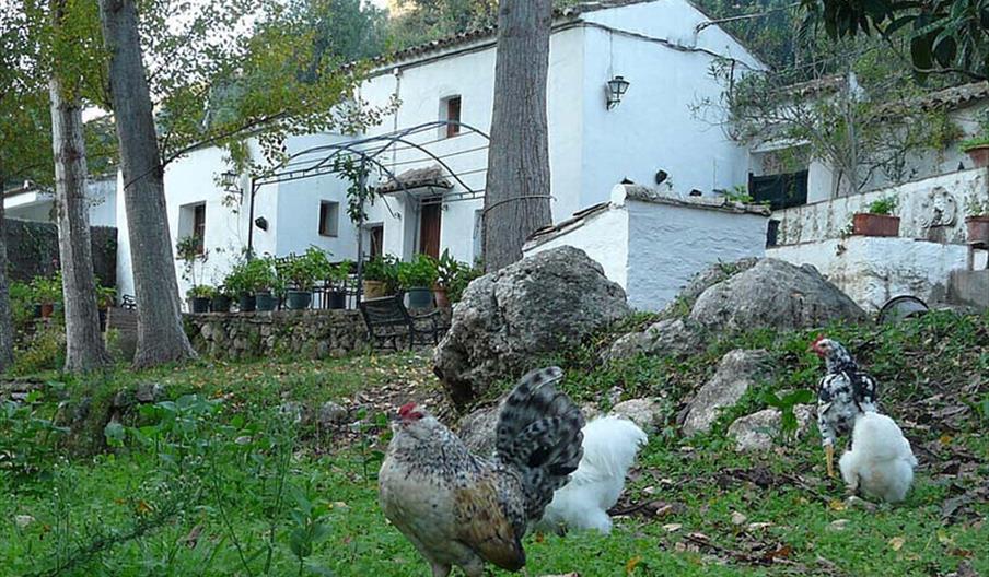 Vivienda Rural La Bodeguilla