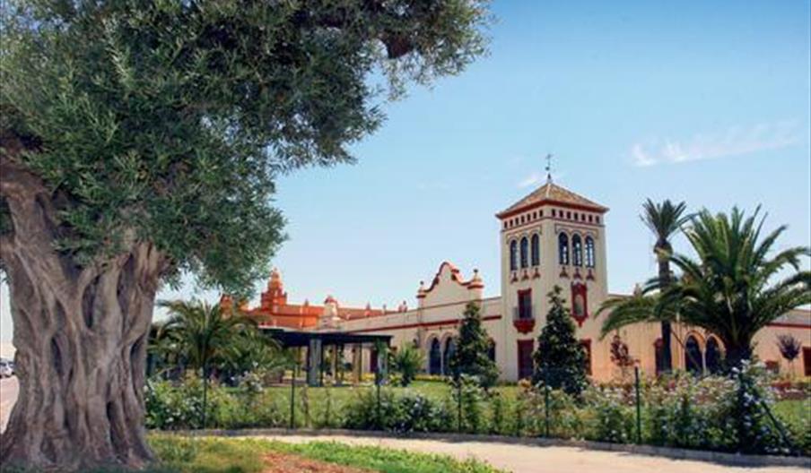 Centro Sevilla Congresos