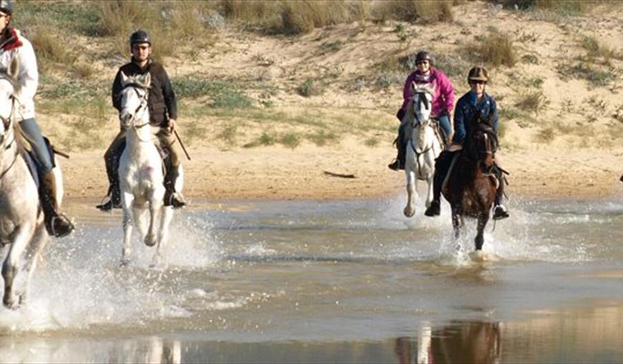 Los Álamos Vacaciones Ecuestres