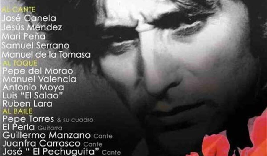 Festival de Cante Grande de Casabermeja