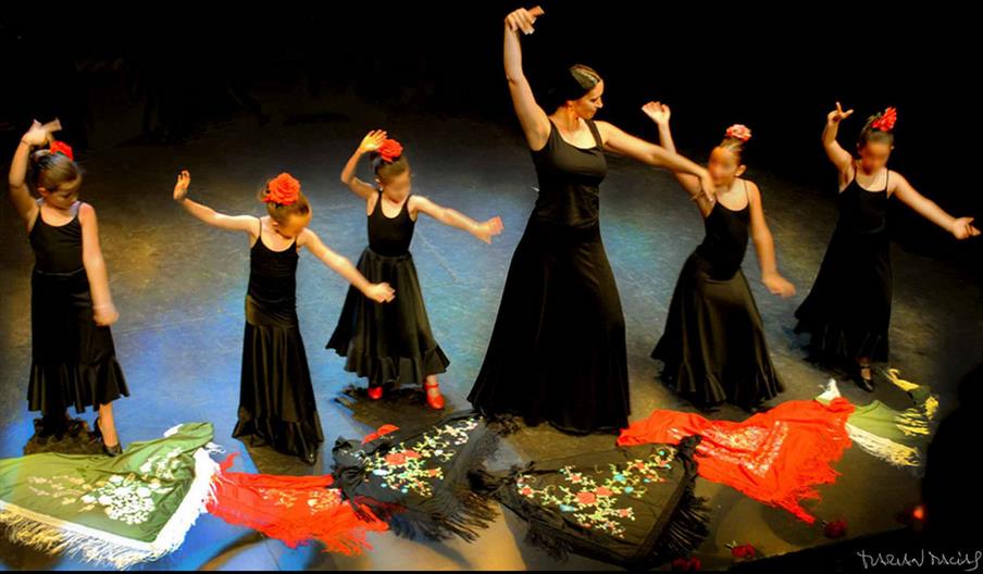 Academia de Baile Alicia Vega