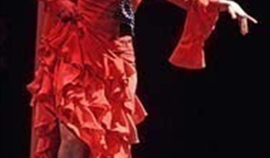 Peña Flamenca La Trilla