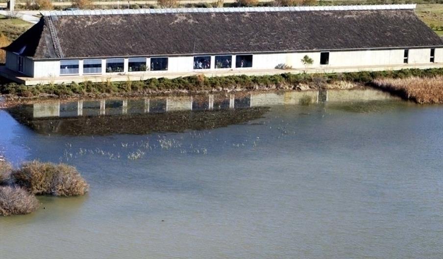 José Antonio Valverde