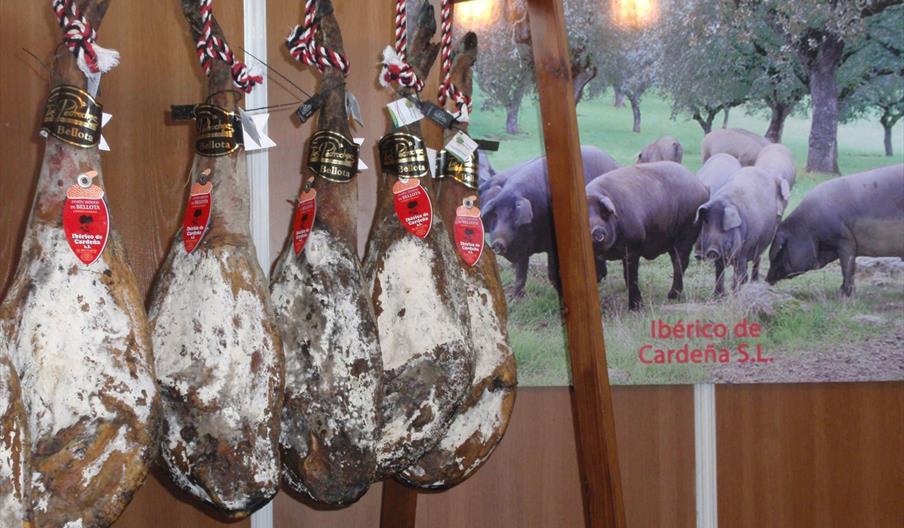Ibérico de Cardeña