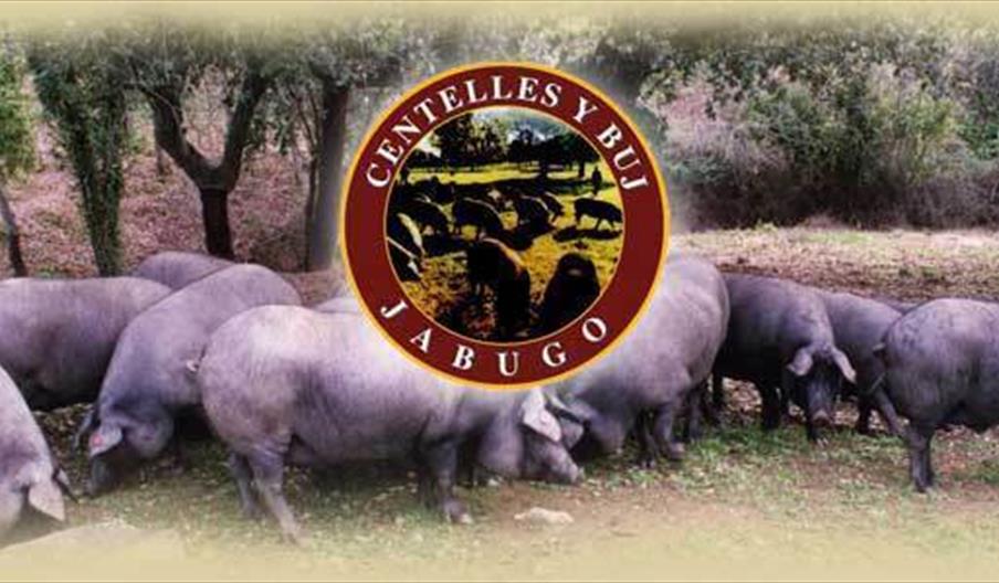 Centelles y Buj Jabugo