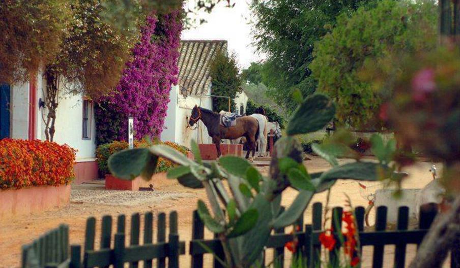 Centro Ecuestre Epona