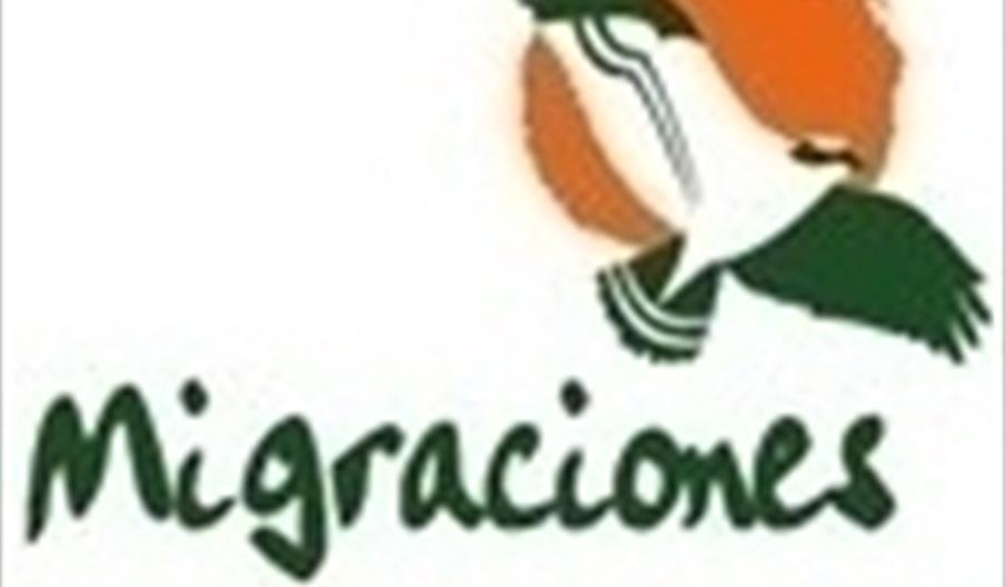 Migraciones Servicios Turísticos