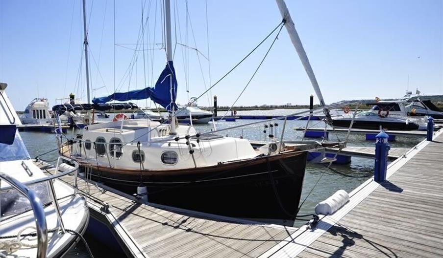 Puerto de El Terrón