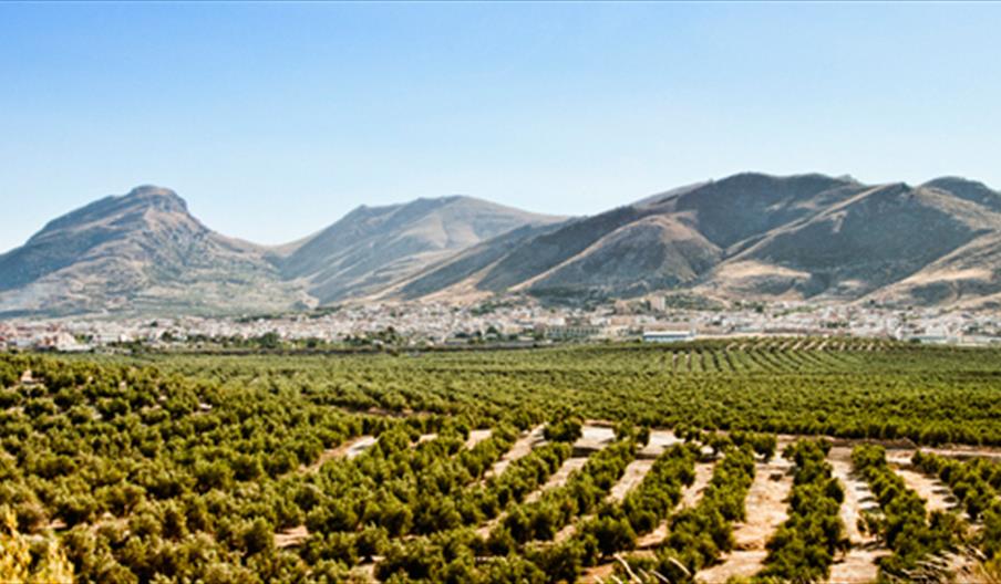 Santísimo Cristo de la Misericordia La Quinta Esencia