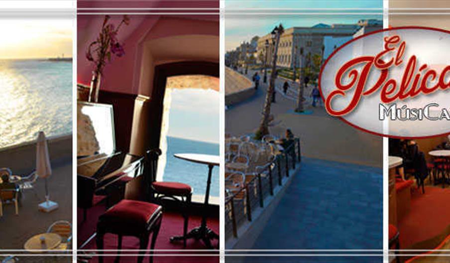 pelicano musicafe