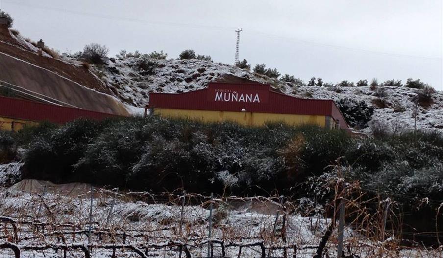 Muñana, Bodega Señorío Nazarí