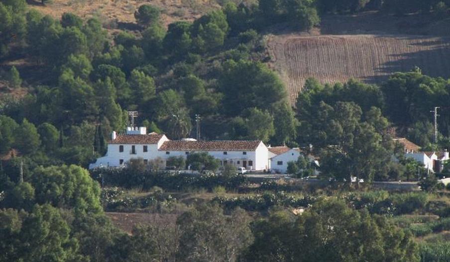 Hotel Cortijo del Arte