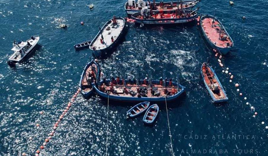 Experiencias Cadiz Atlántica